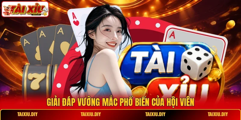 Giải đáp vướng mắc phổ biến của hội viên